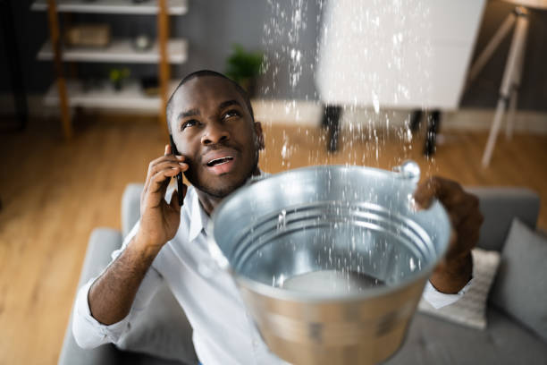 Best Water damage cleanup near me  in Castroville, TX