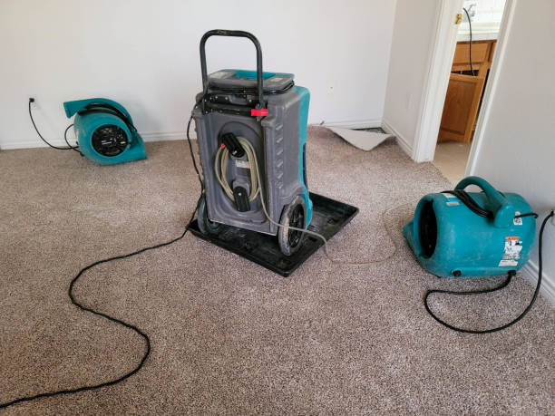 Castroville, TX Water damage restoration Company