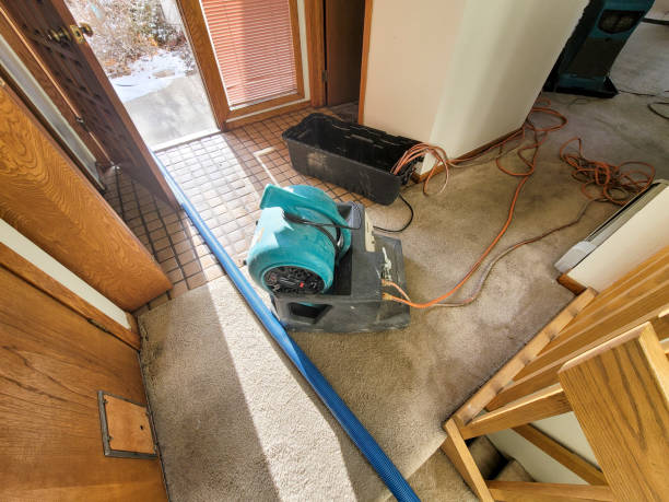 Best Basement water damage restoration  in Castroville, TX