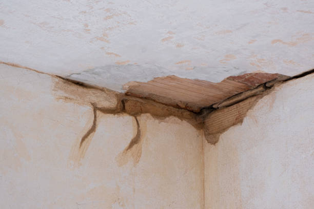 Best Water damage restoration near me  in Castroville, TX
