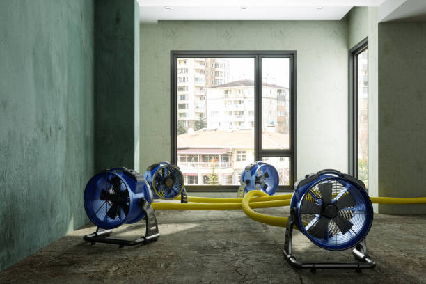 Best Water damage restoration near me  in Castroville, TX